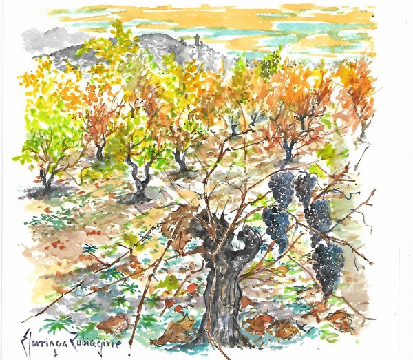 labastida bastida rioja alavesa jose ramon elorriaga