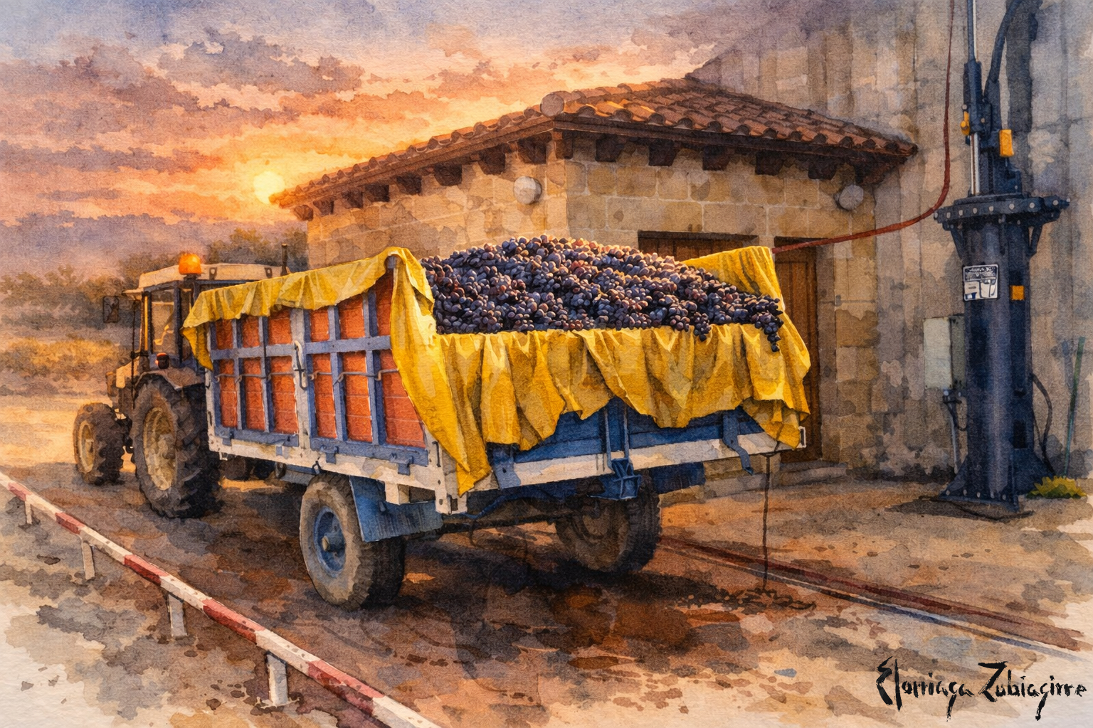 Vendimia rioja alavesa corquete Elciego Eltziego Zieko