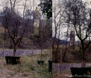Fruiz - Bizkaia - Jose Ramon Elorriaga Zubiagirre 1990 - Olivo escultura Fruiz - Bizkaia - Jose Ramon Elorriaga Zubiagirre 1990 - Olivo escultura